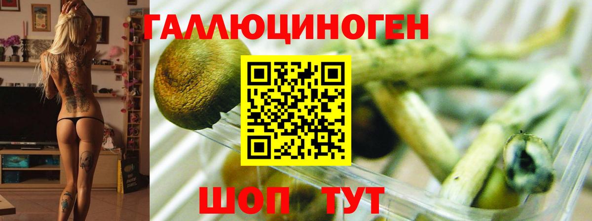 Галлюциногенные грибы GOLDEN TEACHER  Галлюциногенные грибы мухоморы  Вход с VPN  Долгопрудный 